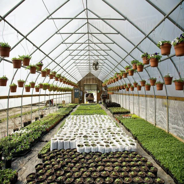 Agricultural Storage Greenhouse