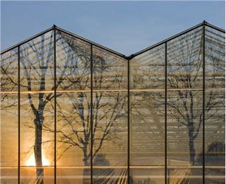 Venlo Starker Wind Schneesicherheit Polycarbonat Licht Deprivation Gewächshaus